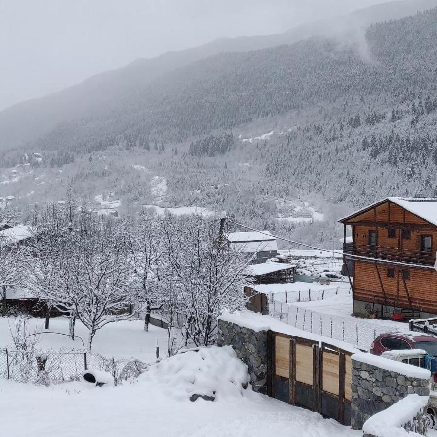Guesthouse Shampriani Mestia Eksteriør bilde